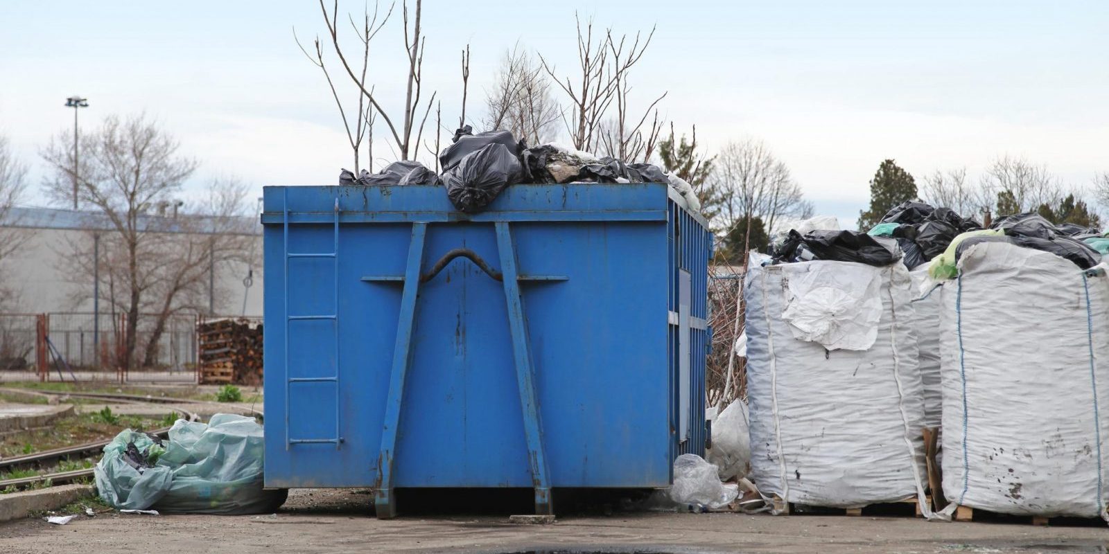 What is Dumpster Rental or Junk Removal Services? Busy Bees Junk