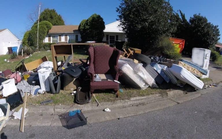 Professional Junk Removal Services
